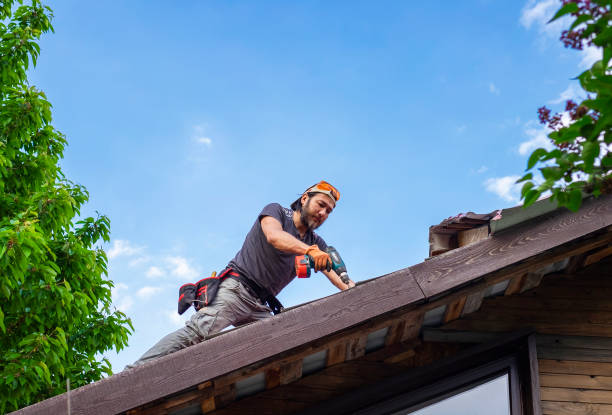 Best Roof Moss and Algae Removal  in Bowling Green, VA